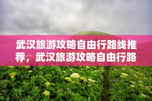 武汉旅游攻略自由行路线推荐，武汉旅游攻略自由行路线推荐一天