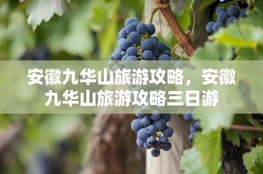 安徽九华山旅游攻略，安徽九华山旅游攻略三日游