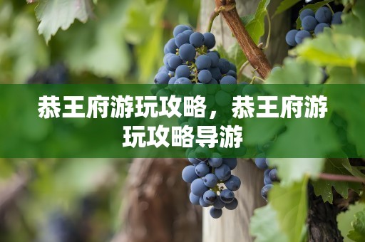 恭王府游玩攻略，恭王府游玩攻略导游