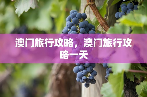 澳门旅行攻略，澳门旅行攻略一天