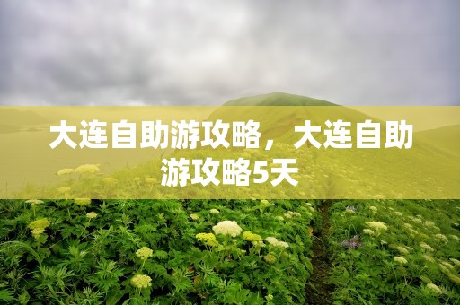 大连自助游攻略，大连自助游攻略5天