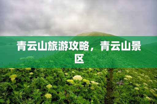 青云山旅游攻略，青云山景区