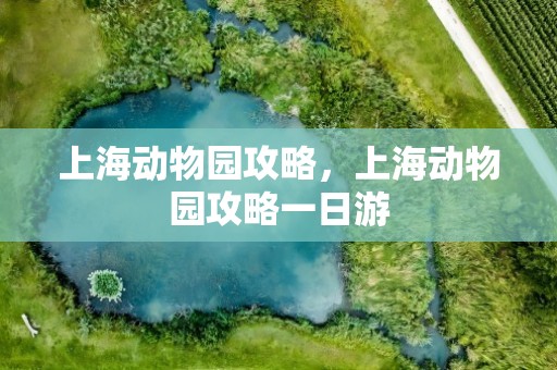 上海动物园攻略，上海动物园攻略一日游