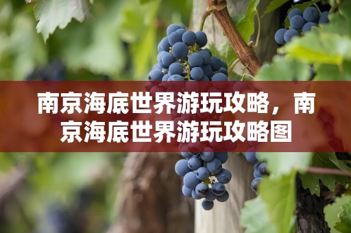 南京海底世界游玩攻略，南京海底世界游玩攻略图