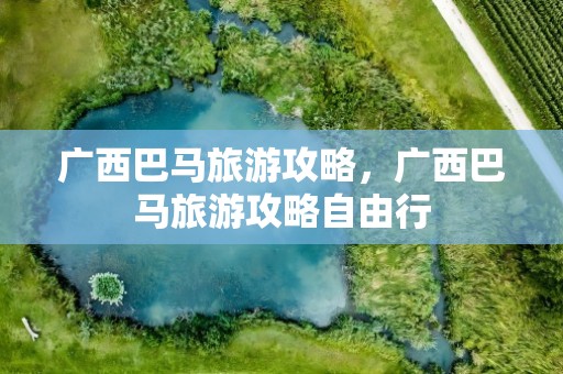 广西巴马旅游攻略，广西巴马旅游攻略自由行