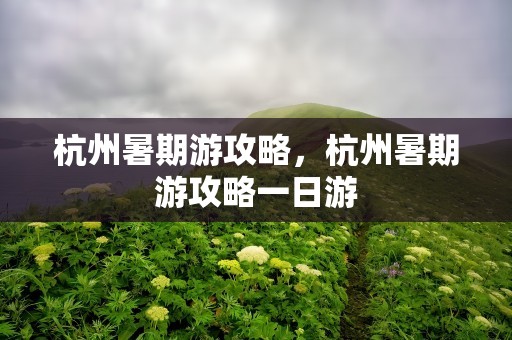 杭州暑期游攻略，杭州暑期游攻略一日游
