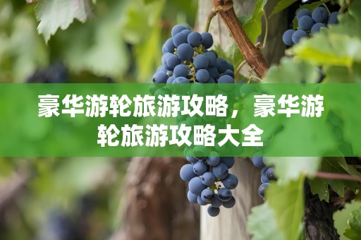 豪华游轮旅游攻略，豪华游轮旅游攻略大全