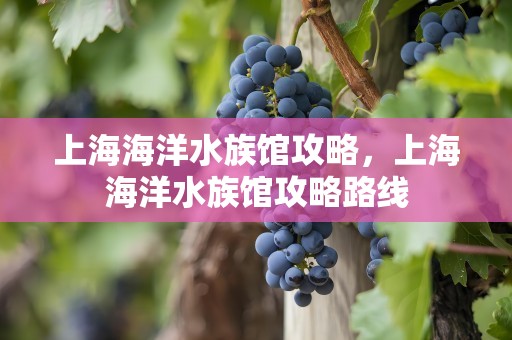 上海海洋水族馆攻略，上海海洋水族馆攻略路线