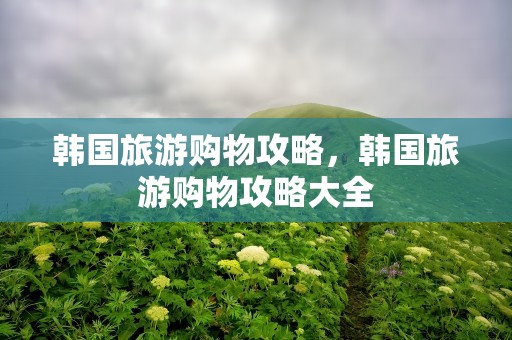 韩国旅游购物攻略，韩国旅游购物攻略大全