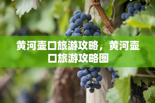黄河壶口旅游攻略，黄河壶口旅游攻略图