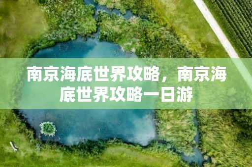 南京海底世界攻略，南京海底世界攻略一日游