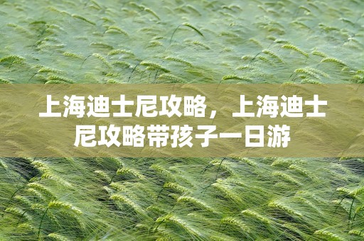 上海迪士尼攻略，上海迪士尼攻略带孩子一日游