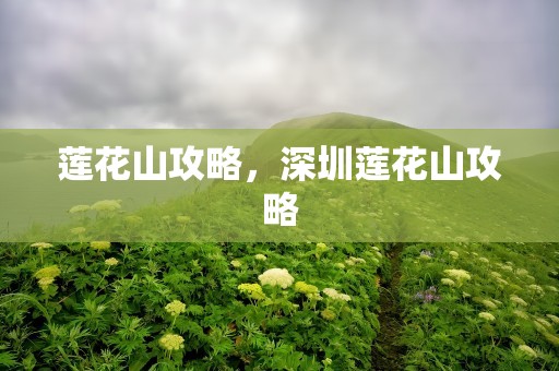 莲花山攻略，深圳莲花山攻略