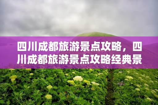 四川成都旅游景点攻略，四川成都旅游景点攻略经典景点