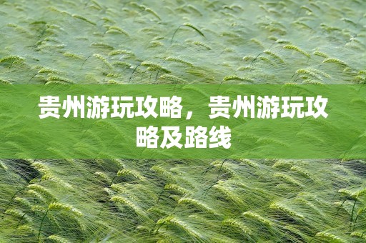 贵州游玩攻略，贵州游玩攻略及路线