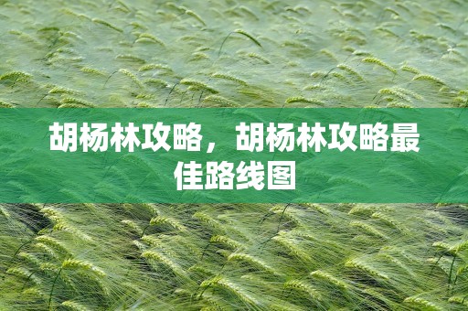 胡杨林攻略，胡杨林攻略最佳路线图