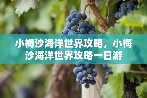 小梅沙海洋世界攻略，小梅沙海洋世界攻略一日游