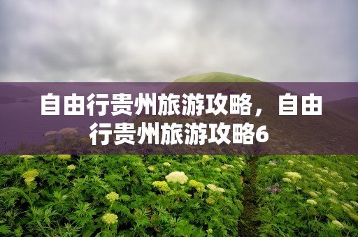 自由行贵州旅游攻略，自由行贵州旅游攻略6