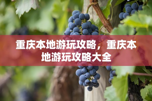 重庆本地游玩攻略，重庆本地游玩攻略大全