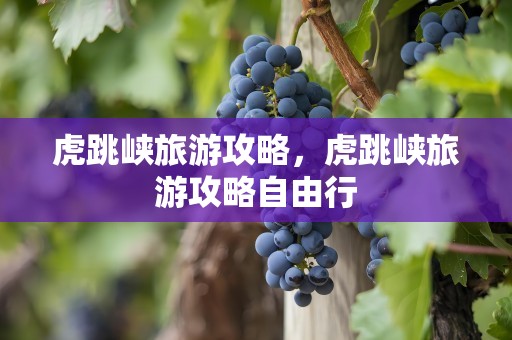 虎跳峡旅游攻略，虎跳峡旅游攻略自由行