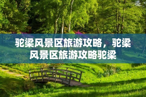 驼梁风景区旅游攻略，驼梁风景区旅游攻略驼梁