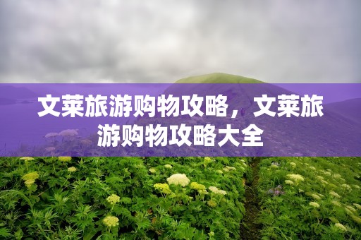 文莱旅游购物攻略，文莱旅游购物攻略大全