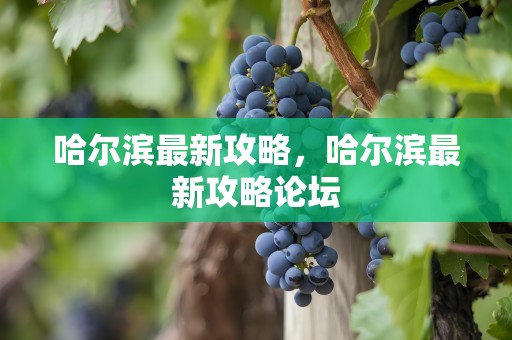 哈尔滨最新攻略，哈尔滨最新攻略论坛
