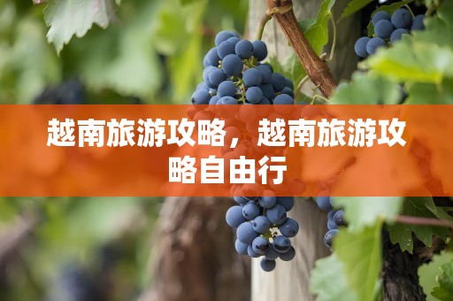 越南旅游攻略，越南旅游攻略自由行