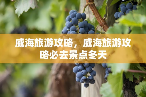 威海旅游攻略，威海旅游攻略必去景点冬天