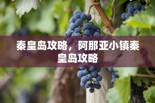 秦皇岛攻略，阿那亚小镇秦皇岛攻略