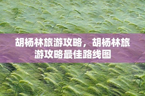 胡杨林旅游攻略，胡杨林旅游攻略最佳路线图