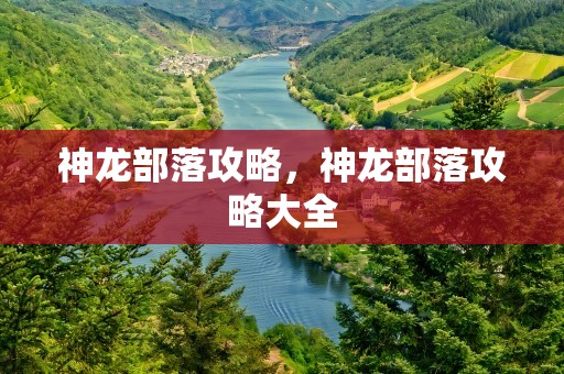 神龙部落攻略，神龙部落攻略大全