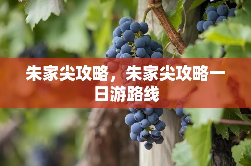 朱家尖攻略，朱家尖攻略一日游路线