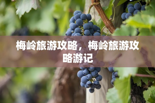 梅岭旅游攻略，梅岭旅游攻略游记