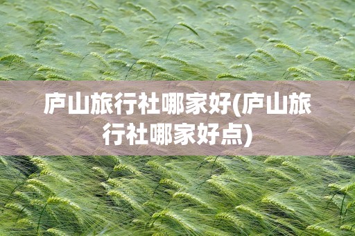 庐山旅行社哪家好(庐山旅行社哪家好点)