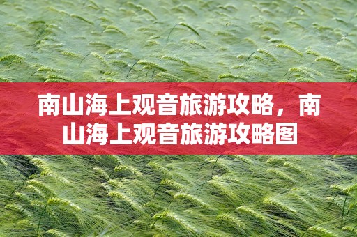 南山海上观音旅游攻略，南山海上观音旅游攻略图