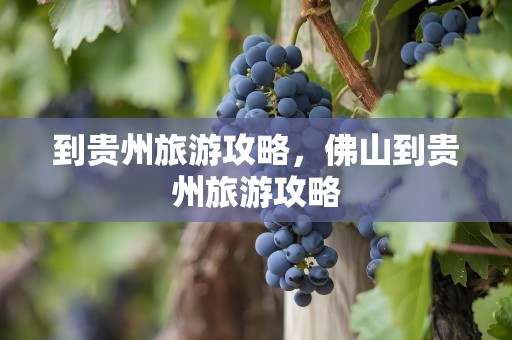 到贵州旅游攻略，佛山到贵州旅游攻略