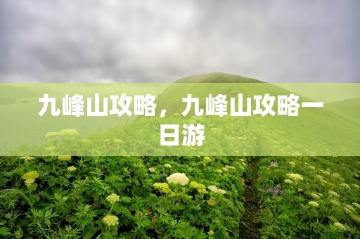 九峰山攻略，九峰山攻略一日游
