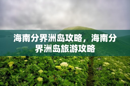 海南分界洲岛攻略，海南分界洲岛旅游攻略