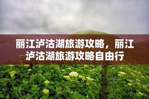 丽江泸沽湖旅游攻略，丽江泸沽湖旅游攻略自由行