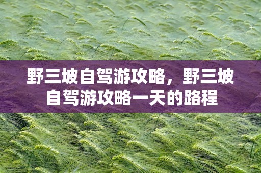 野三坡自驾游攻略，野三坡自驾游攻略一天的路程