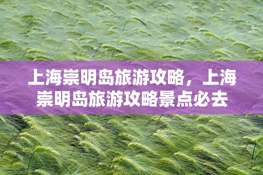 上海崇明岛旅游攻略，上海崇明岛旅游攻略景点必去