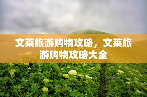 文莱旅游购物攻略，文莱旅游购物攻略大全