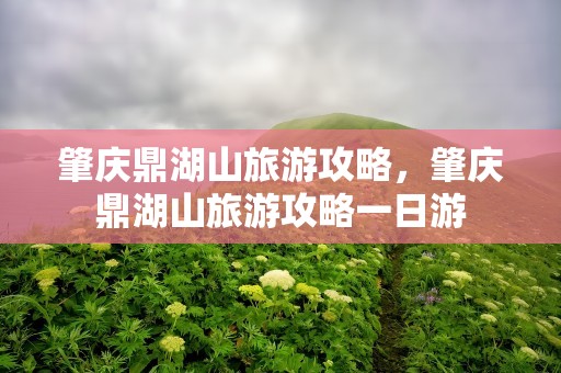 肇庆鼎湖山旅游攻略，肇庆鼎湖山旅游攻略一日游