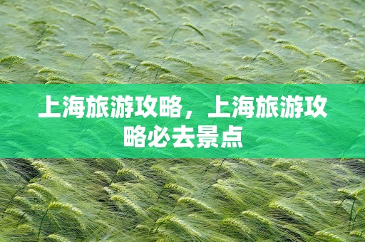 上海旅游攻略，上海旅游攻略必去景点