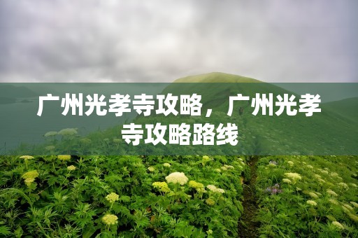 广州光孝寺攻略，广州光孝寺攻略路线