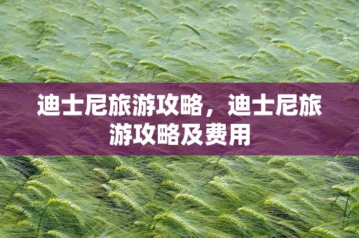 迪士尼旅游攻略，迪士尼旅游攻略及费用