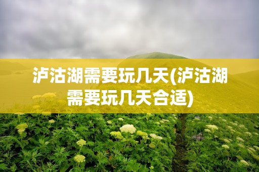 泸沽湖需要玩几天(泸沽湖需要玩几天合适)