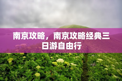 南京攻略，南京攻略经典三日游自由行