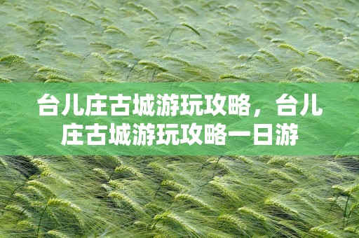 台儿庄古城游玩攻略，台儿庄古城游玩攻略一日游